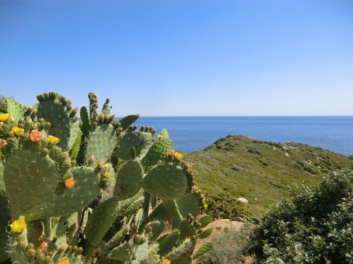 Apartament Sailing Cagliari Zewnętrze zdjęcie